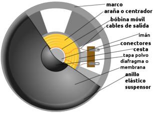 Constitución interna de un altavoz