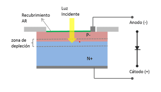 Representación del funcionamiento interno del Fotodiodo